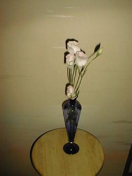 アロマテラピーの力へ