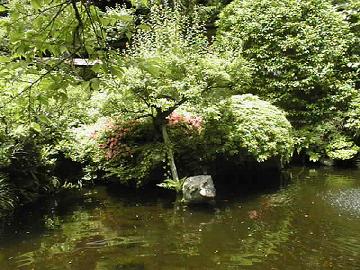 女性の身体の治療方針