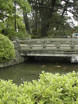 女性の身体って