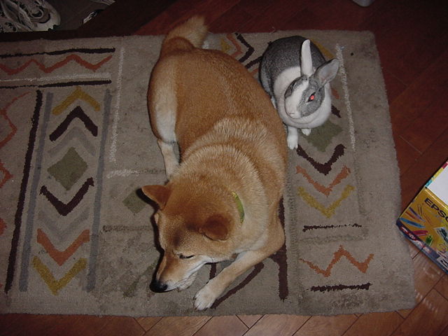 二人目不妊の弁証論治のはじめに戻ります