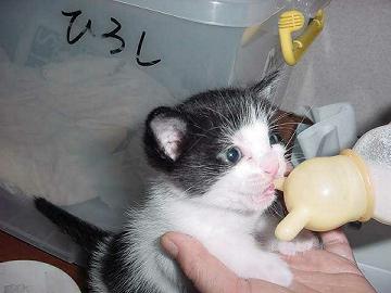 二人目不妊の弁証論治のはじめに戻ります