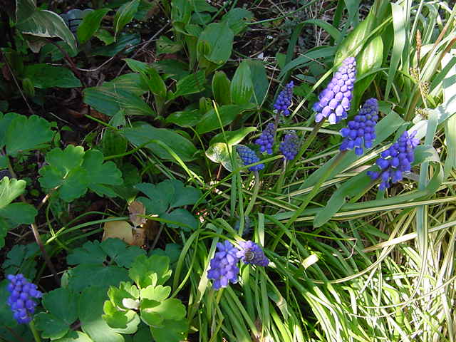 病因病理・弁証