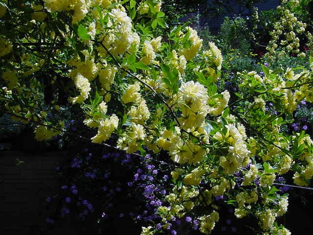 ご本人への提言