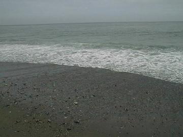 傷食　食ただり