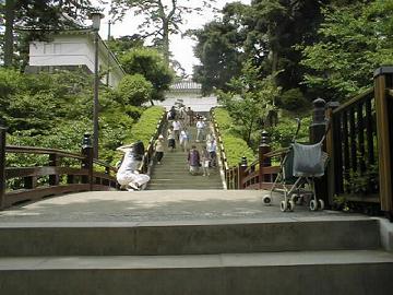 東洋医学からみた妊娠について